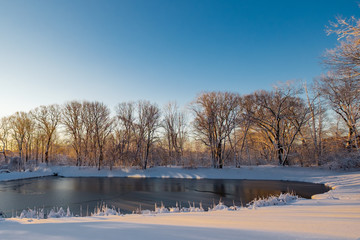 Iced-over Pond