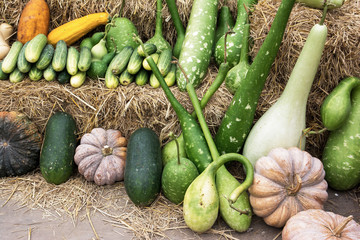 Closeup of exhibition vegetables background
