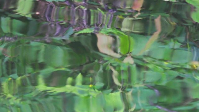 Movimento de &aacute;gua com reflexo verde