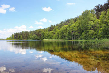 Fototapeta na wymiar Beautiful scenery with very clear lake water and forest on the shore. Summer sunny day.