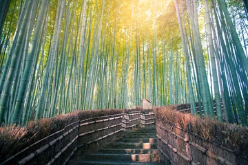 Fotobehang Arashiyama bamboo forest in Kyoto, Japan. © BUSARA