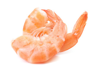 Fresh shrimps