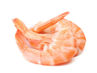 Fresh shrimps