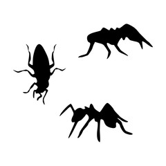 insect logo vector
