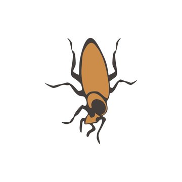 insect logo vector