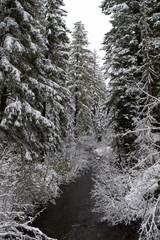 Winter River