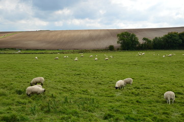 Rural UK