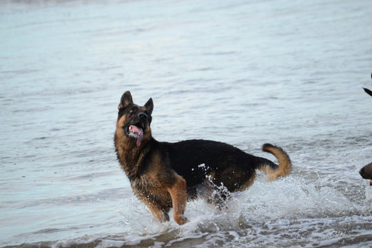 felicidad en su mas puro stado