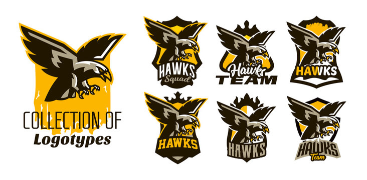 A colorful set of logos, stickers, emblems of flying eagle. Bird, hunter, predator, dangerous animal, shield, lettering. Mascot sports club, vector illustration