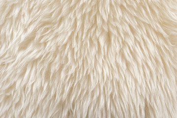 White fluffy sheep wool texture, beige natural wool background, fur texture close-up for designers