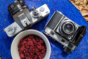 camera, hipster, strawberry, fruit, food, fresh