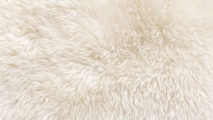 White wool texture background, cotton wool, white natural sheep wool, beige fluffy fur, fragment...