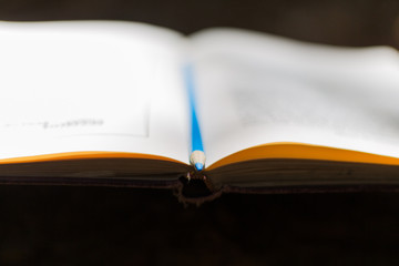 book, open, isolated, page, paper, education, white, 