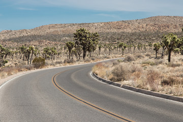 Desert Road