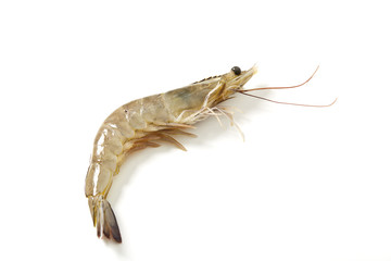 Fresh raw seafood shrimp