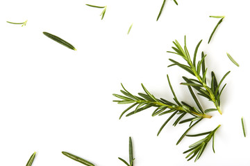 Naklejka premium Fresh rosemary on white background