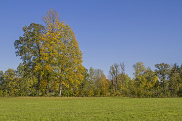Herbstlandschaft im Isarwinkel