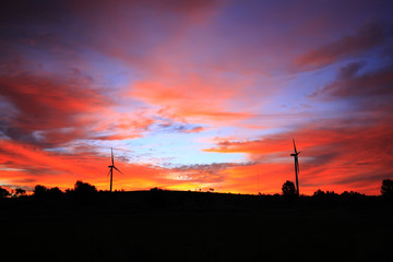 Wind turbines in the evening