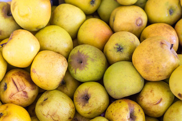 apple, food, fruit, fresh, apples