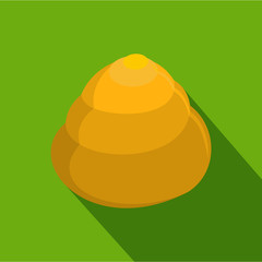 Animal shell icon. Flat illustration of animal shell vector icon for web