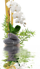 bambou, orchidée blanche et galets avec reflets