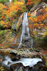 A beautiful silky waterfall tumbling down the vertical cliff into a rocky stream in the forest of colorful autumn foliage ~ Nature scenery of Japan ( Long Exposure Effect )