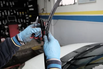 Tapeten technician replaces wiper blades © robypangy