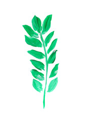Hand painted element for design. Watercolor leaf. Botanical detail for cards, poster, scrabooking, web, invitations.