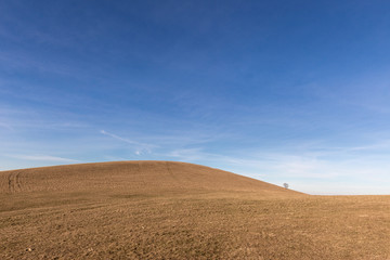 A distant, loney tree on a bare hill, beneath a blue sky with white clouds