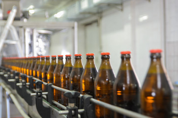 Row of glass bottles on the conveyor belt. Selective focus.