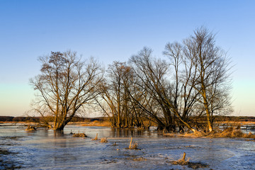 Dolina Górnej Narwi © podlaski49
