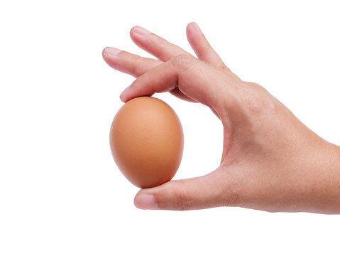 woman hand holding single brown chicken egg isolated on white background with clipping path