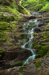 Beatiful waterfall in spring forest. Carpathian, Ukraine.