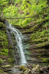 Beatiful waterfall in spring forest. Carpathian, Ukraine.