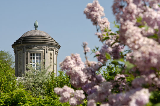 Seneffe chateau fleur printemps