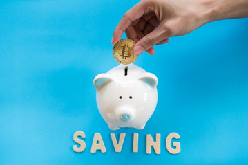 hand of someone insert bitcoin to piggy bank with blue paper background 