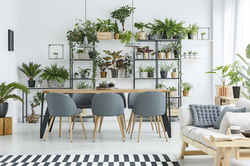 Grey open space interior