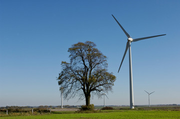 arbre éolienne energie environnement paysage