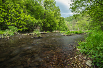 Fototapeta na wymiar Beautiful river flows in the forest, spring, Ukraine