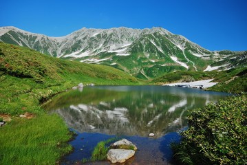 Fototapeta na wymiar Tateyama alpine ~ summer