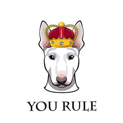 English Bull terrier dog head in crown. You rule text.  illustration.