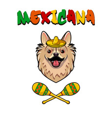 Chihuahua dog with sombrero and maracas. Mexicana text.  illustration.