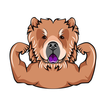 Chow chow dog with muscules.  Illustration Portrait of dog.