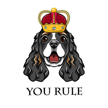 English cocker spaniel wearing in crown. King dog.  illustration.