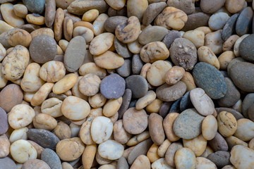 Background sand rock on the beach