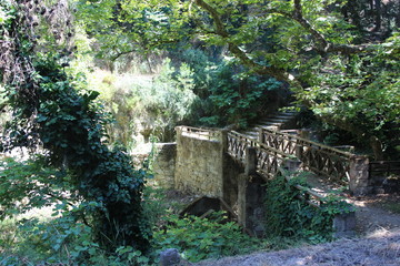 Summer bridge 