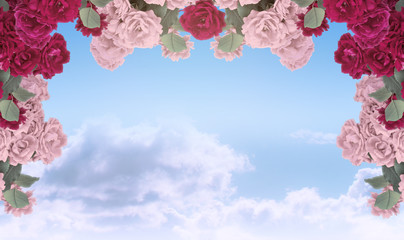 Fototapety  Rose flowers arrangement on background of sky and clouds and place for your photo, text or decoration. Floral arch garland.
