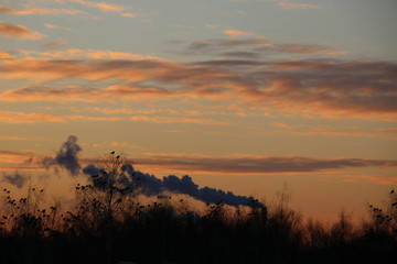 Naklejka premium dawn over the city. the sky with fluffy clouds at dawn. sunrise over houses.