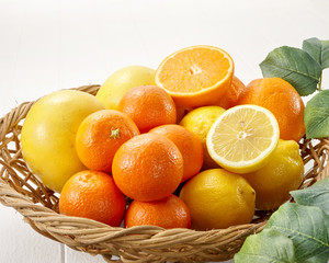 柑橘類イメージカット