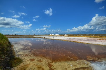 Trapani, Italy, Sicily August 20 2015. The fabulous salt pans of Trapani, with its characteristic pink salt. Coloration due to microalgae that survive despite the extreme salinity of the water.